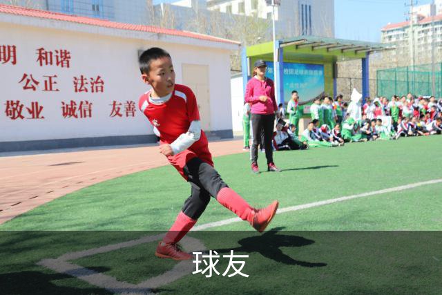 球友公司简介展示图